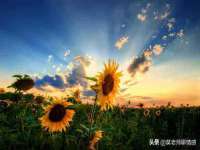 南通永通交通设备科技有限公司