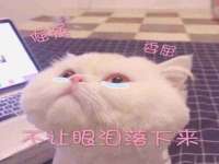 南通永通交通设备科技有限公司