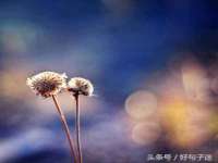 南通永通交通设备科技有限公司