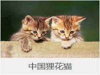 南通永通交通设备科技有限公司