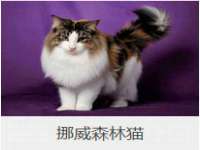 南通永通交通设备科技有限公司