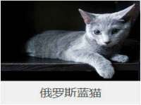 南通永通交通设备科技有限公司