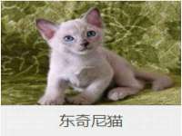南通永通交通设备科技有限公司