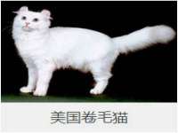 南通永通交通设备科技有限公司