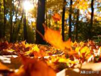 南通永通交通设备科技有限公司