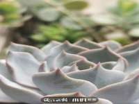 南通永通交通设备科技有限公司