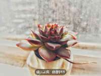 南通永通交通设备科技有限公司