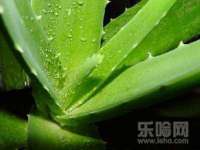 南通永通交通设备科技有限公司
