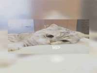南通永通交通设备科技有限公司