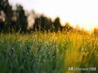 南通永通交通设备科技有限公司