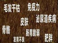 南通永通交通设备科技有限公司