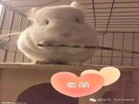 南通永通交通设备科技有限公司
