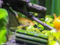 南通永通交通设备科技有限公司