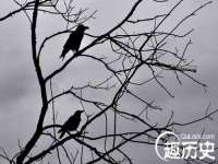 南通永通交通设备科技有限公司