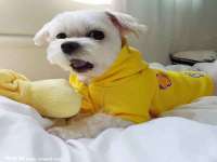 南通永通交通设备科技有限公司