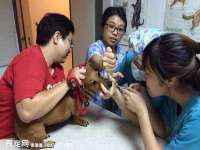 南通永通交通设备科技有限公司