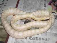 南通永通交通设备科技有限公司